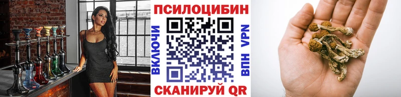 Галлюциногенные грибы Cubensis  Сосновоборск 