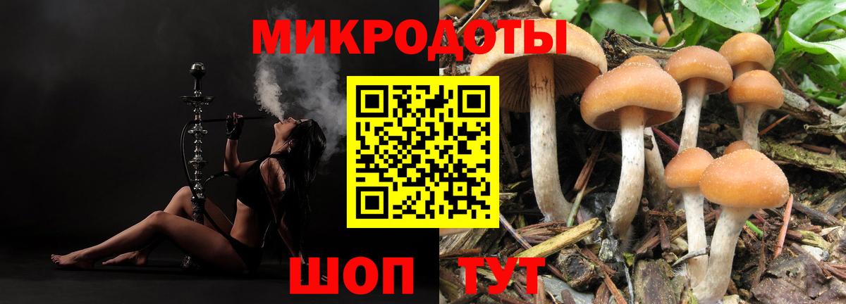 Сосновоборск  Псилоцибиновые грибы MAGIC MUSHROOMS  Галлюциногенные грибы мухоморы  Вход с VPN 